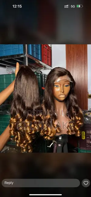 Raw Virgin Human Hair Wig