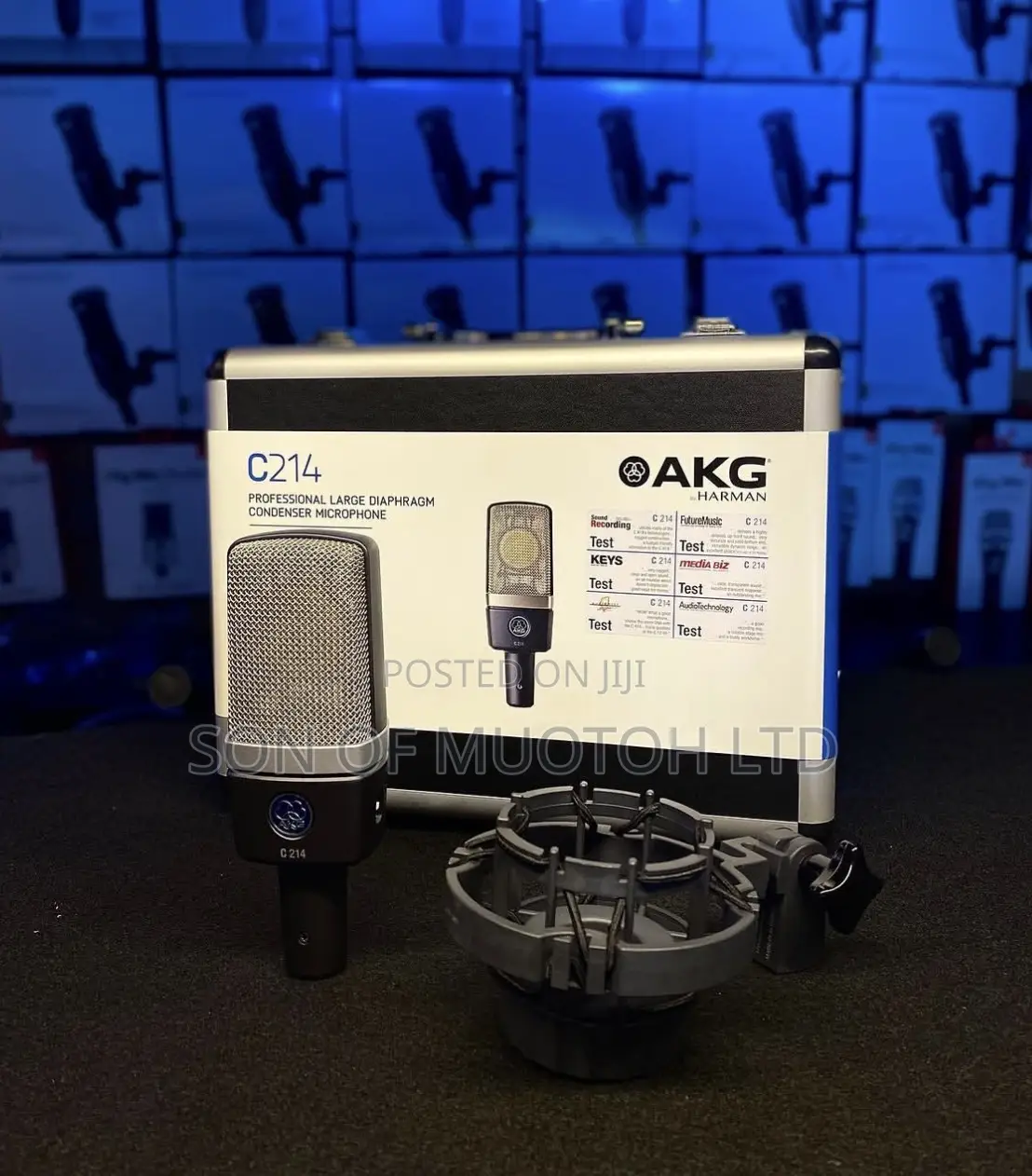AKG Pro Audio C214 Studio Large Diaphragm Condenser Microphone