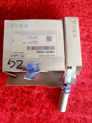 Hyundai Santa Fe, Sonata, Kia Optima and Kia Sorento 
2012
Spark Plugs