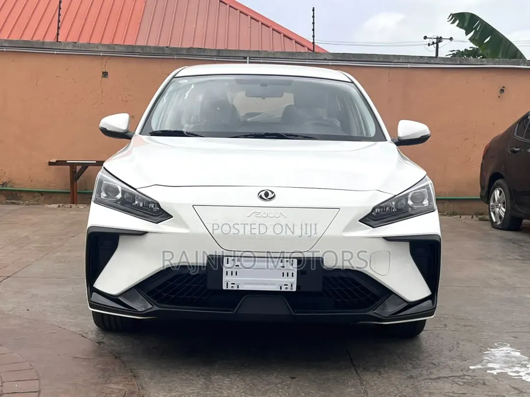 New Dongfeng EV EX1 2025 White