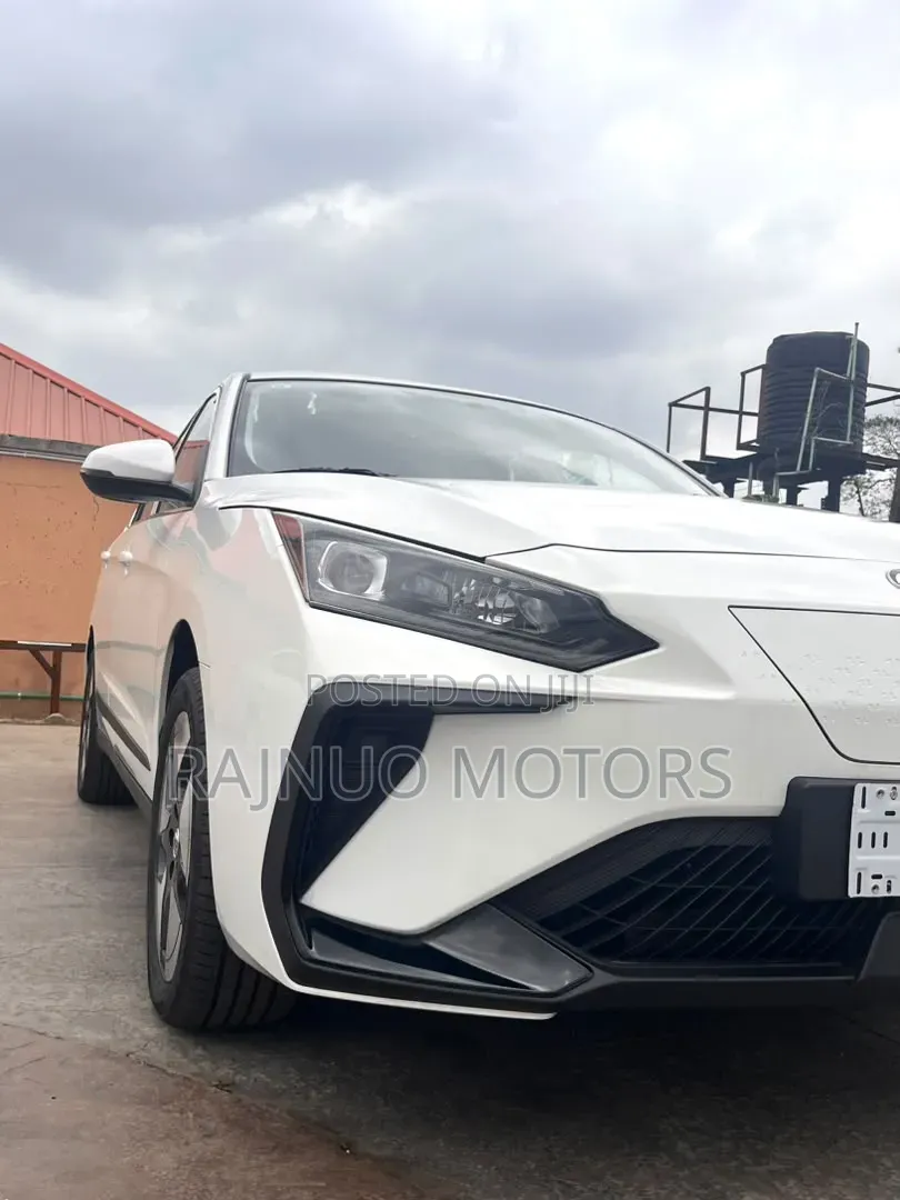 New Dongfeng EV EX1 2025 White