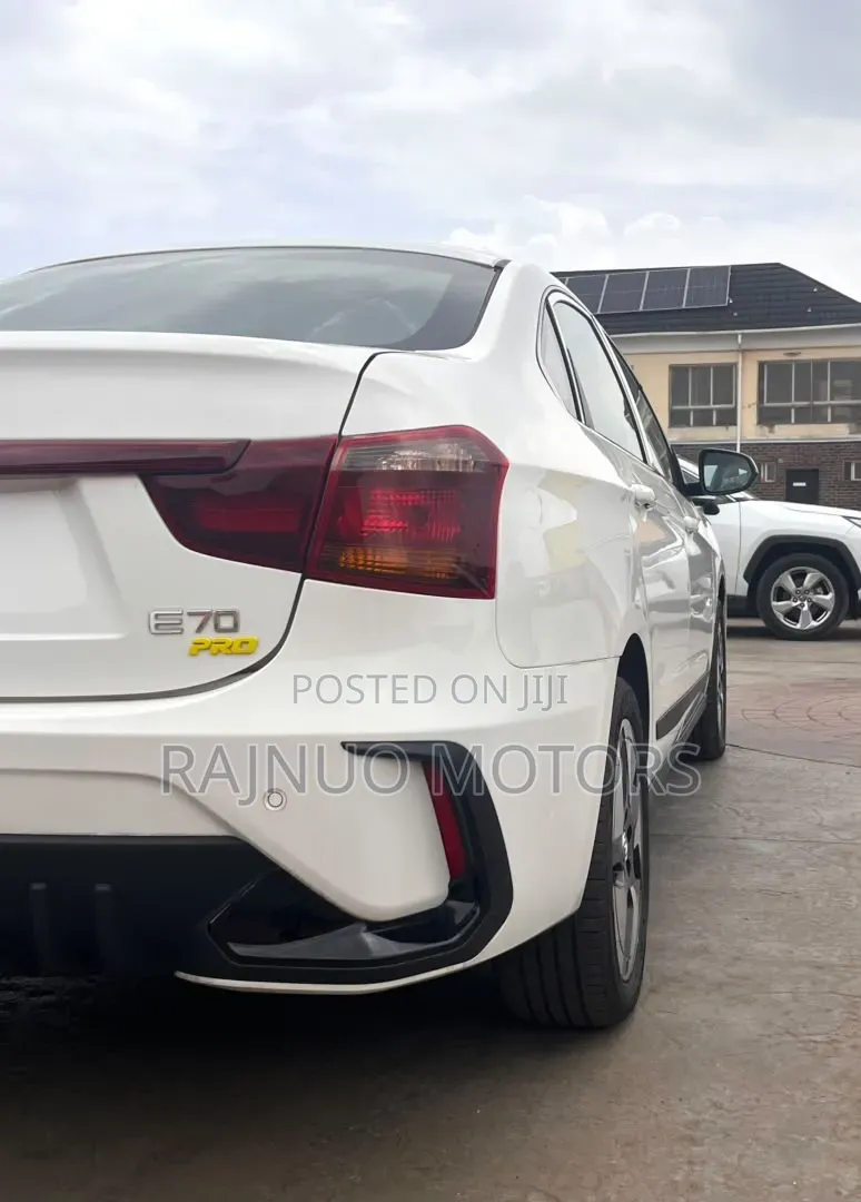 New Dongfeng EV EX1 2025 White