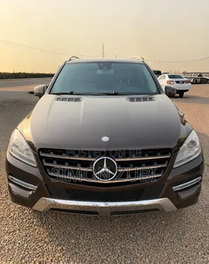 Mercedes-Benz M Class 2013 Brown