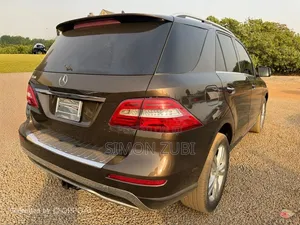 Mercedes-Benz M Class 2013 Brown