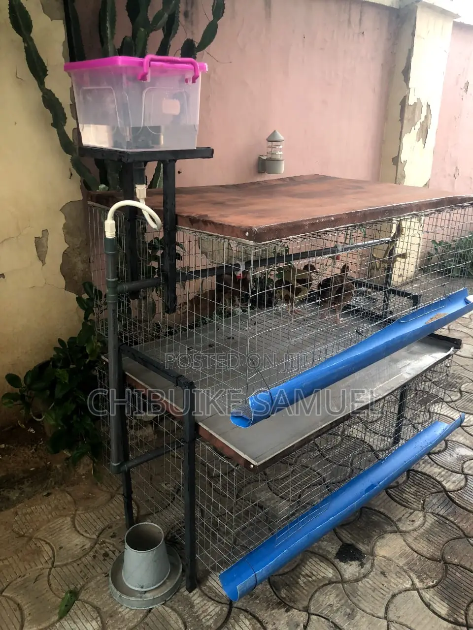 Mini Battery Cage for Broilers