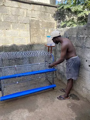 Mini Battery Cage for Broilers