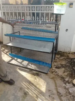 Mini Battery Cage for Broilers