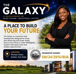 The Galaxy