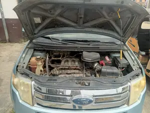 Ford Edge 2009 Blue