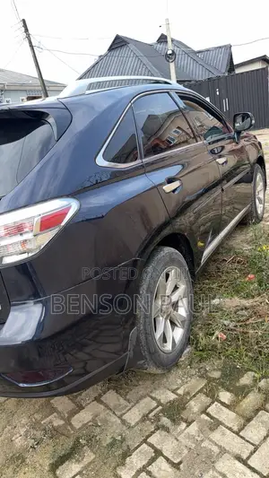 Lexus RX 2010 Blue