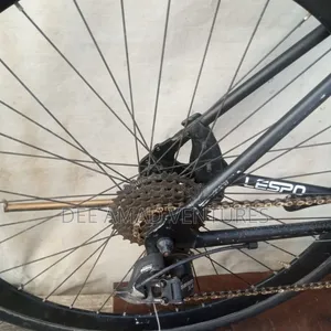 Momentum Road Bicycle
