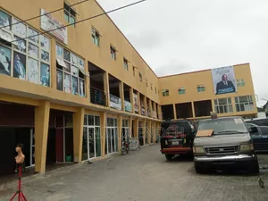 A Massive Shopping Plaza for Sale