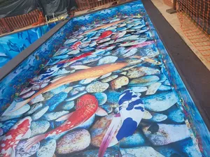 3d Epoxy Swimming Pool
