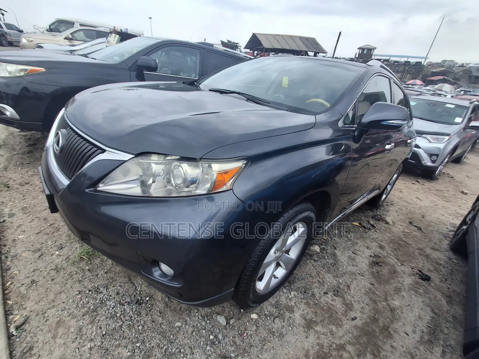 Lexus RX 2010 Gray