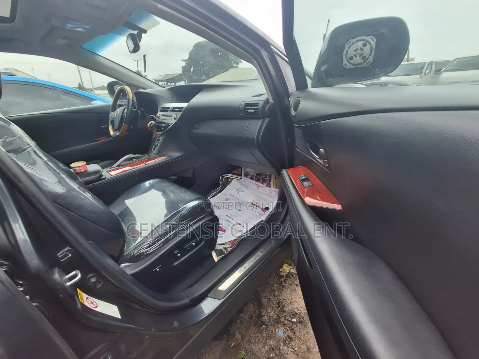 Lexus RX 2010 Gray
