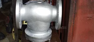 Non Return Valve