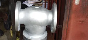Non Return Valve