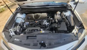 Toyota Camry 2019 White
