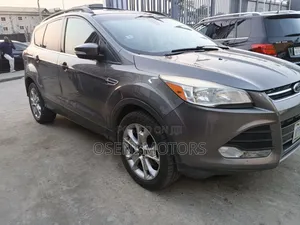 Ford Escape 2014 Gray
