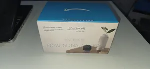 Alexa Echo