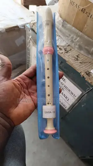 Plastic Professional Soprano Recorder