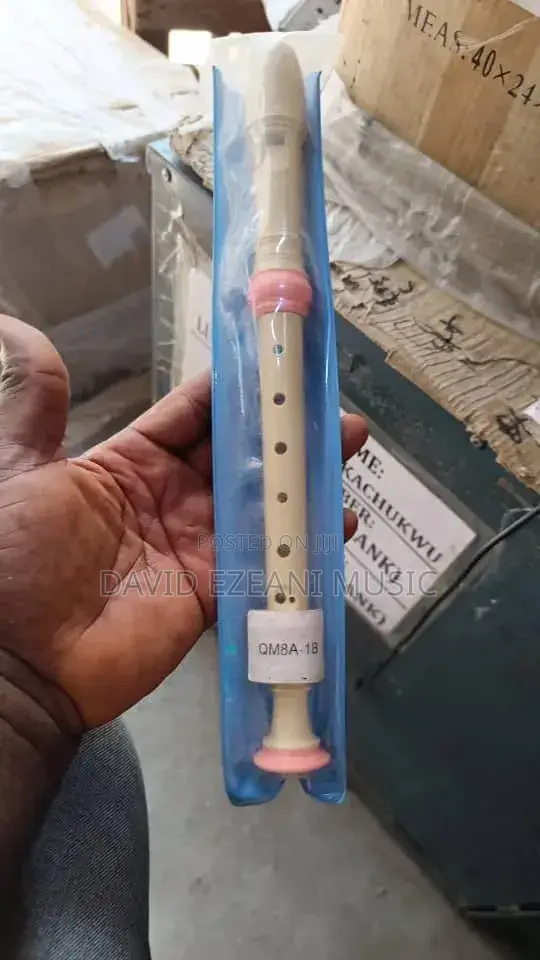 Plastic Professional Soprano Recorder