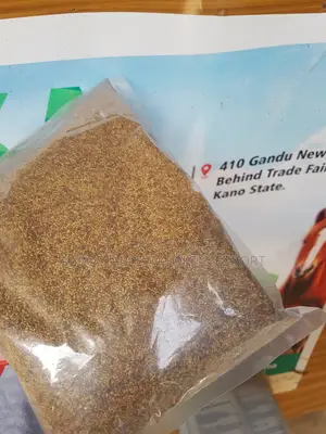 Alfalfa Seed 1kg Pack