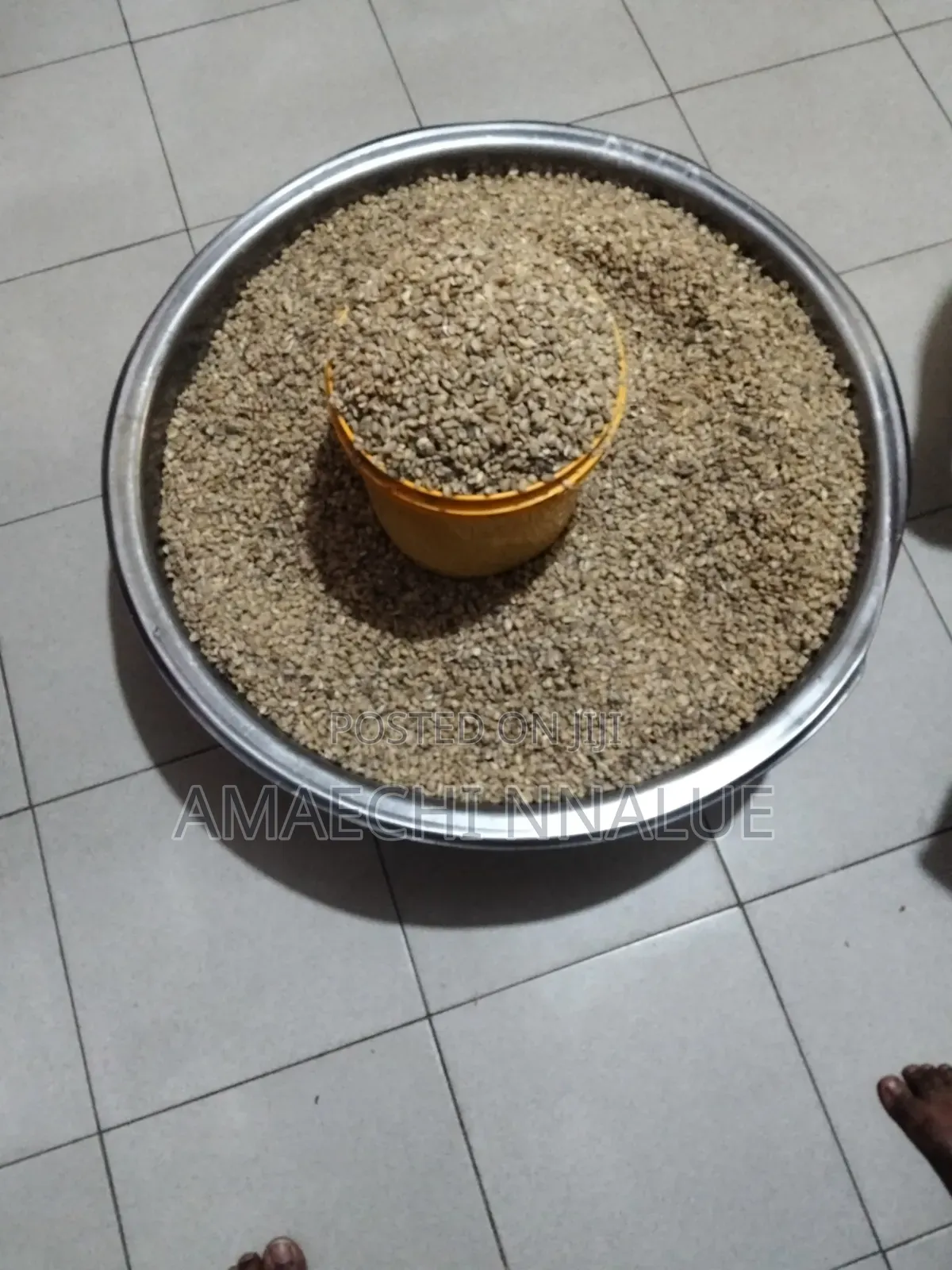 Ukwa (Breadfruit)