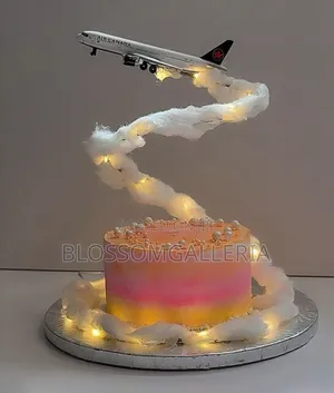 Aeroplane Cakes