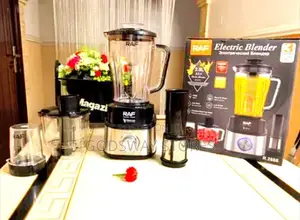 4 in 1 Blender / Juicer RAF
