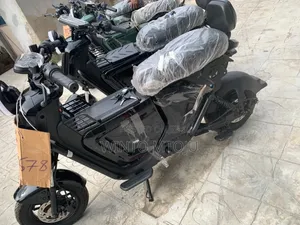 Electric Bike