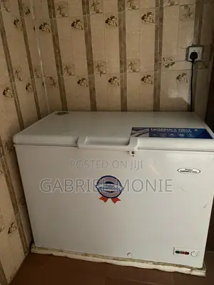 3 Months Used Haier Thermocool Freezer