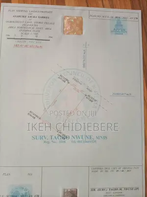 Land for Sale at Isuaniocha Anambra State