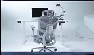 Ergonomic Office Chair and Gaming Desk