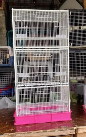 Cat Playhouse (Layer 3)