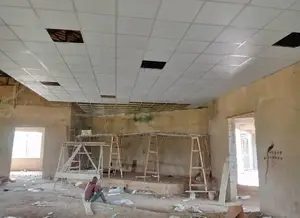 High Quality Standard Suspended Celling