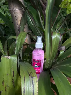 Affordable Airfreshner and Disinfectants for Toilets and Tiles