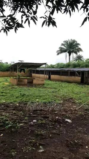 Farmland Can Be Converted to Residential