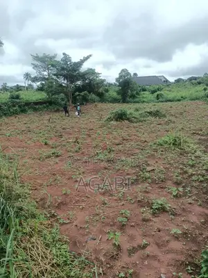 A 100ft240 Landed Property for Sale at Back of RCCG EKPOMA