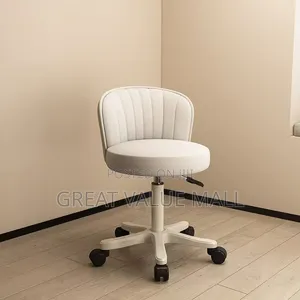 Adjustable Barber Stool