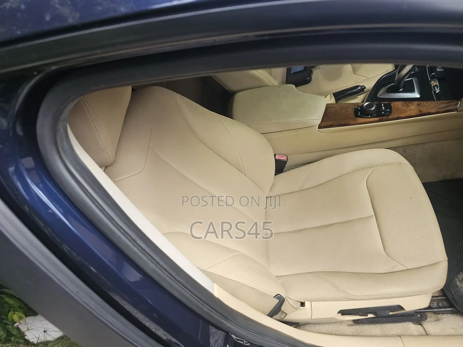 BMW 3 Series 2013 Blue