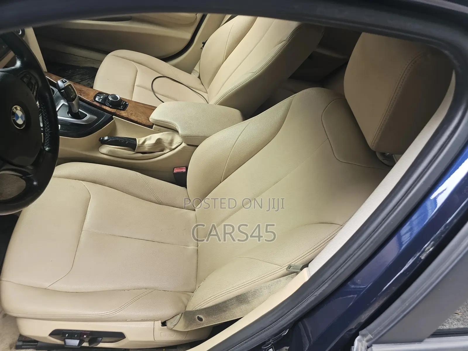 BMW 3 Series 2013 Blue