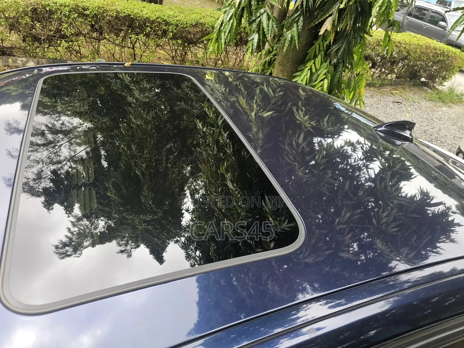 BMW 3 Series 2013 Blue