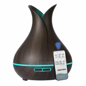 Ultrasonic Air Humidifier Electric Aroma Air Diffuser