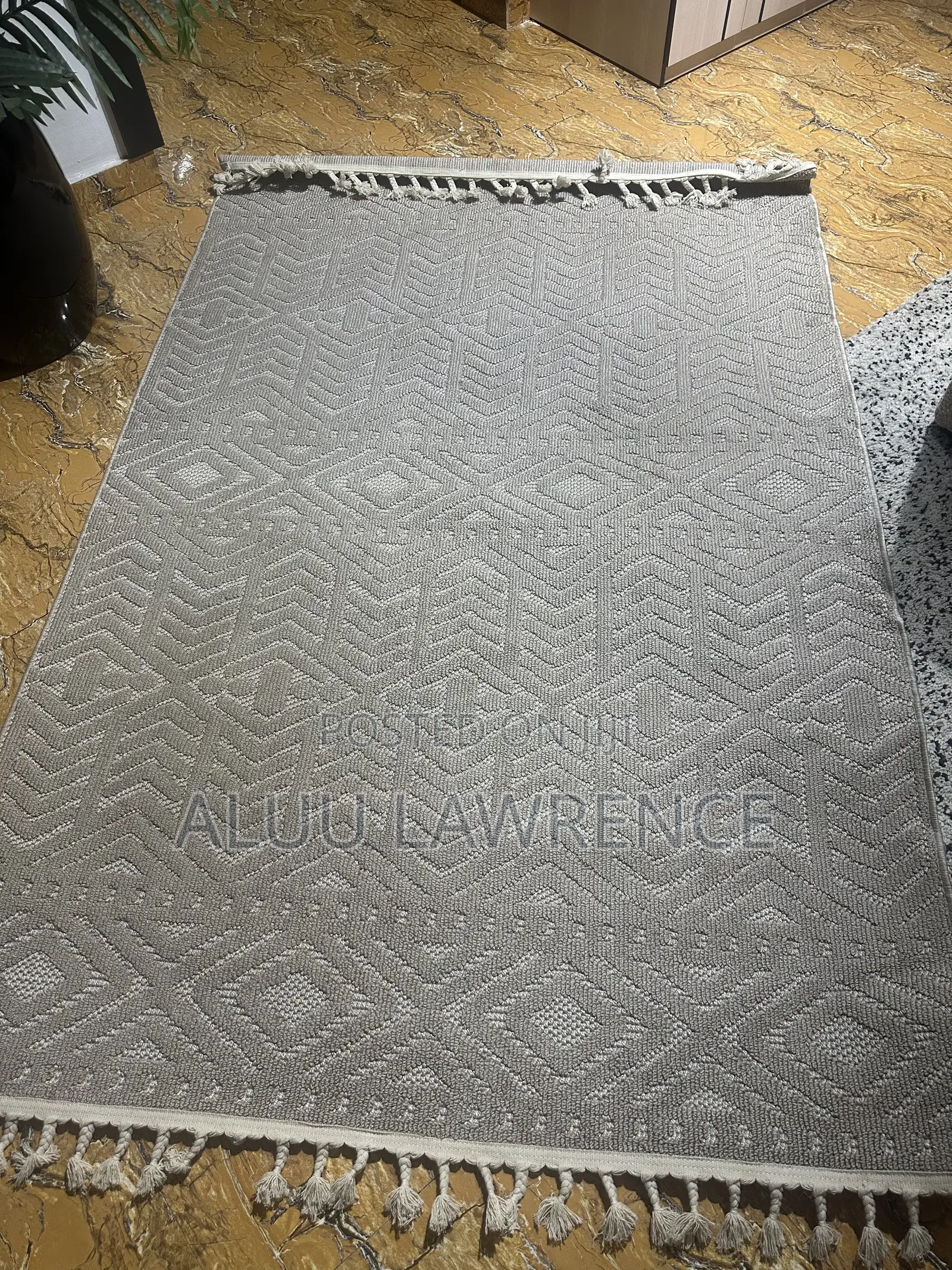 Saryon Carpet/Rug