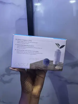 Alexa Echo Dot