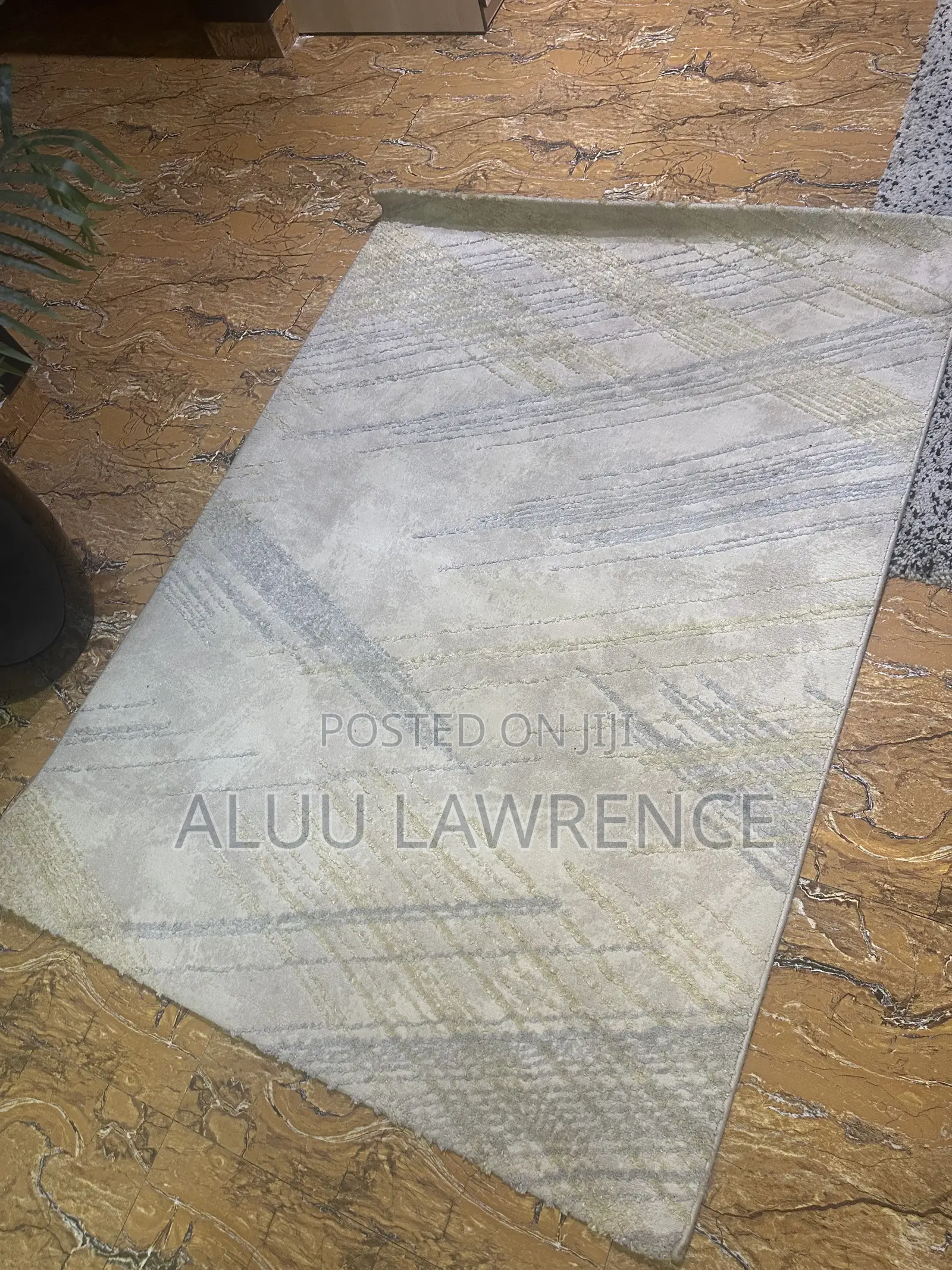 4 by 6 Ft Center Rug