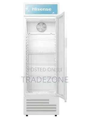 Hisense 205 Liters Showcase Display Chiller | FL 31FC