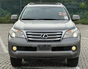 Lexus GX 460 2010 Gray