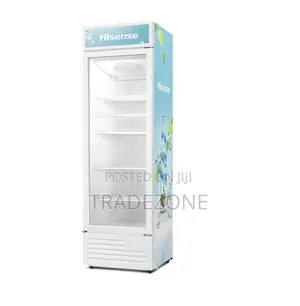 Hisense 367 Liters Showcase Display Chiller | FL 51FC